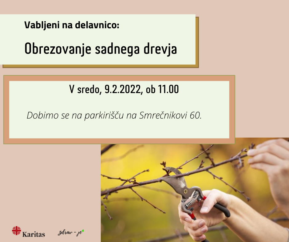 Obrezovanje_sadnega_drevja.png