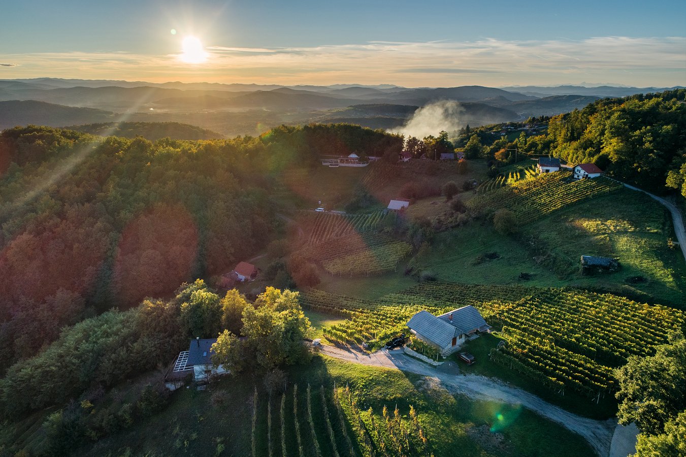 vinogradi Objavljen 1. javni poziv LAS Dolenjska in Bela krajina