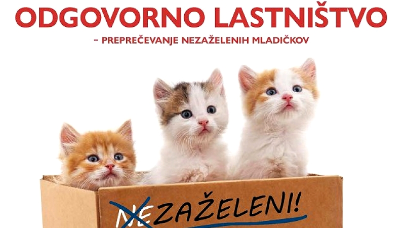 Sterilizacija_kastracija_letak.jpg