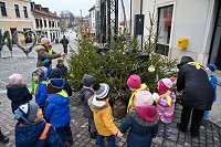 Advent Novo mesto 