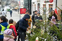 Advent Novo mesto 